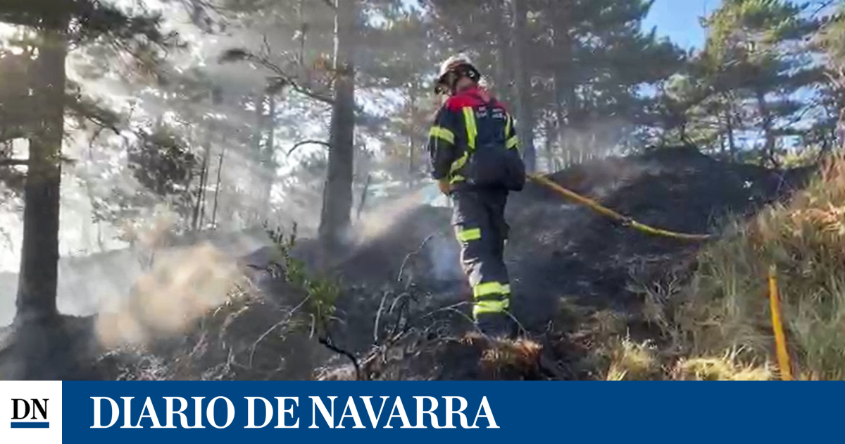 Vídeo con bomberos trabajando en la extinción del incendio de Belzunce (Juslapeña)