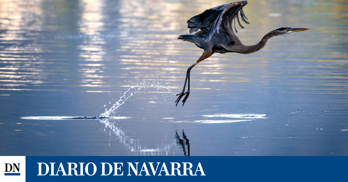 Navarra controlará la calidad del agua de 7 nuevas zonas vulnerables a nitratos procedentes de fuentes agrarias