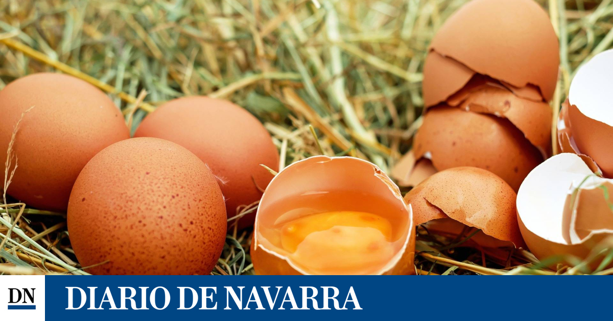 La exportación a EE UU cae el 2,9% en cinco meses y el 7,8% solo en mayo