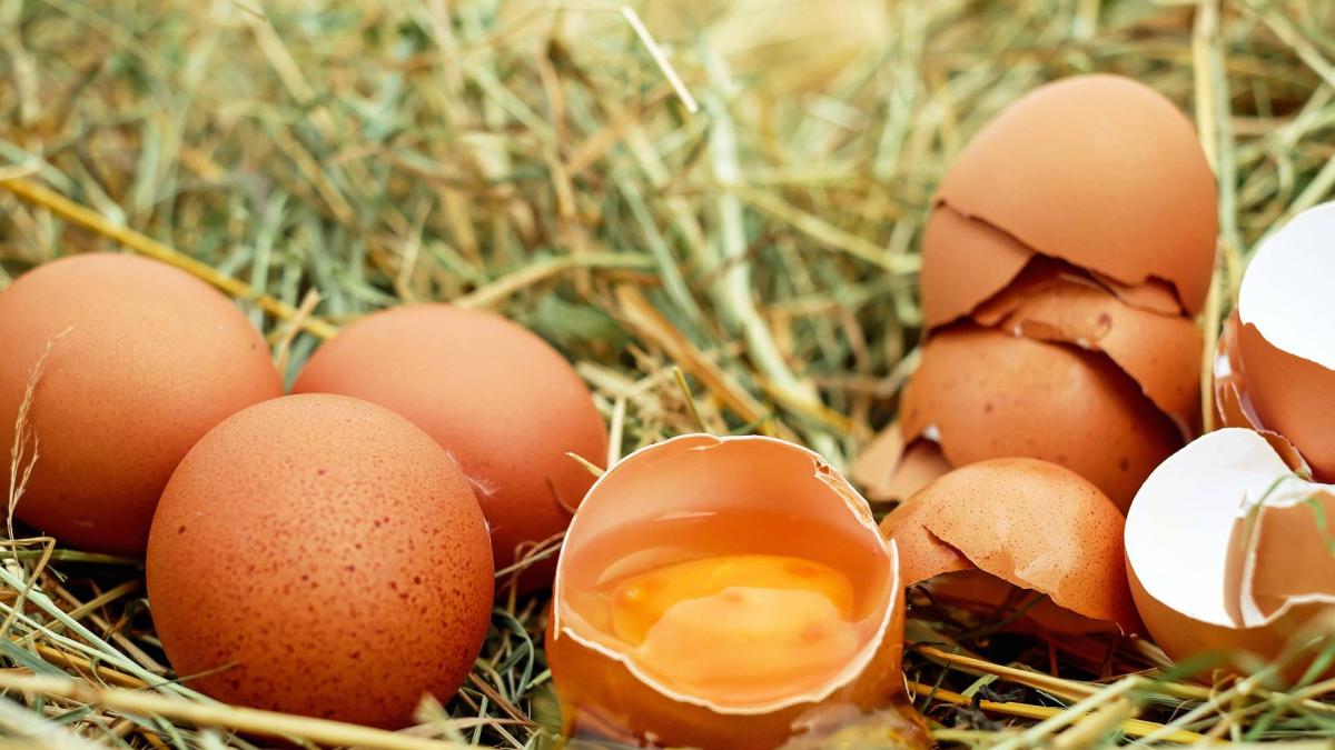 <![CDATA[Comer huevos al menos cinco días a la semana se asocia a menor riesgo de padecer Alzheimer, según un estudio]]>