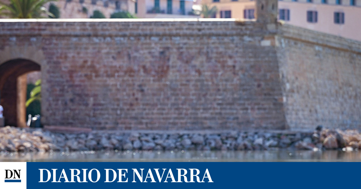 Un cocodrilo de tres metros de largo sorprende a los turistas en Palma