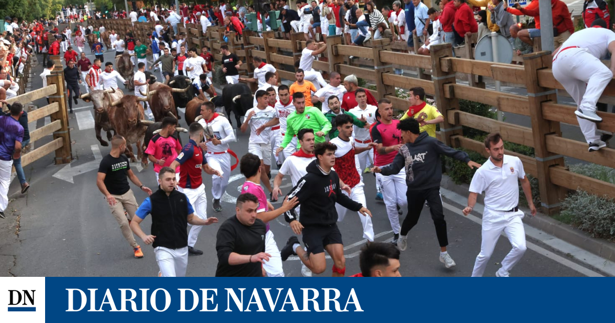 Primer encierro de fiestas de Santa Ana en Tudela 2025 con un astado destacado en solitario en cabeza