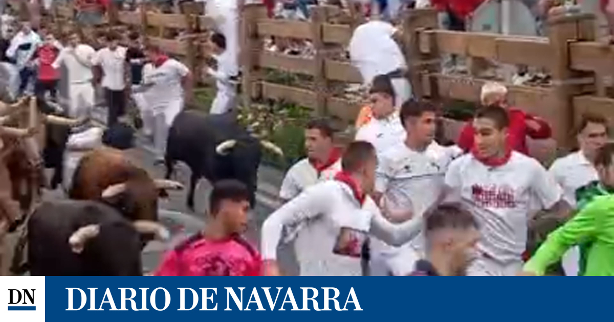 Vídeo del primer encierro de fiestas de Tudela 2025 con la manada llegando a la curva de la plaza de toros