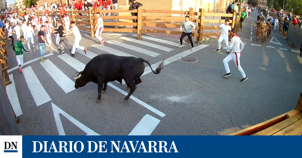 Video del primer encierro de fiestas de Tudela 2025: un astado acelera y se separa del resto de la manada en la curva de la calle Almajares