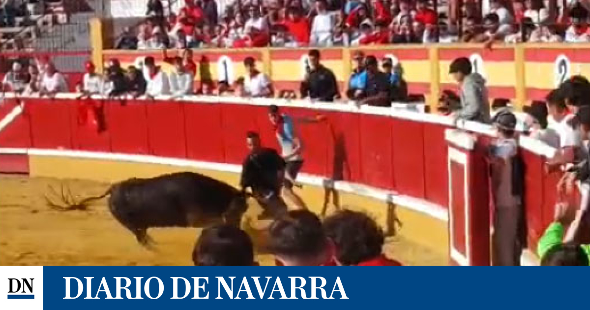 Vídeo del 'mejor recorte' de las vaquillas tras el primer encierro de fiestas de Tudela 2025