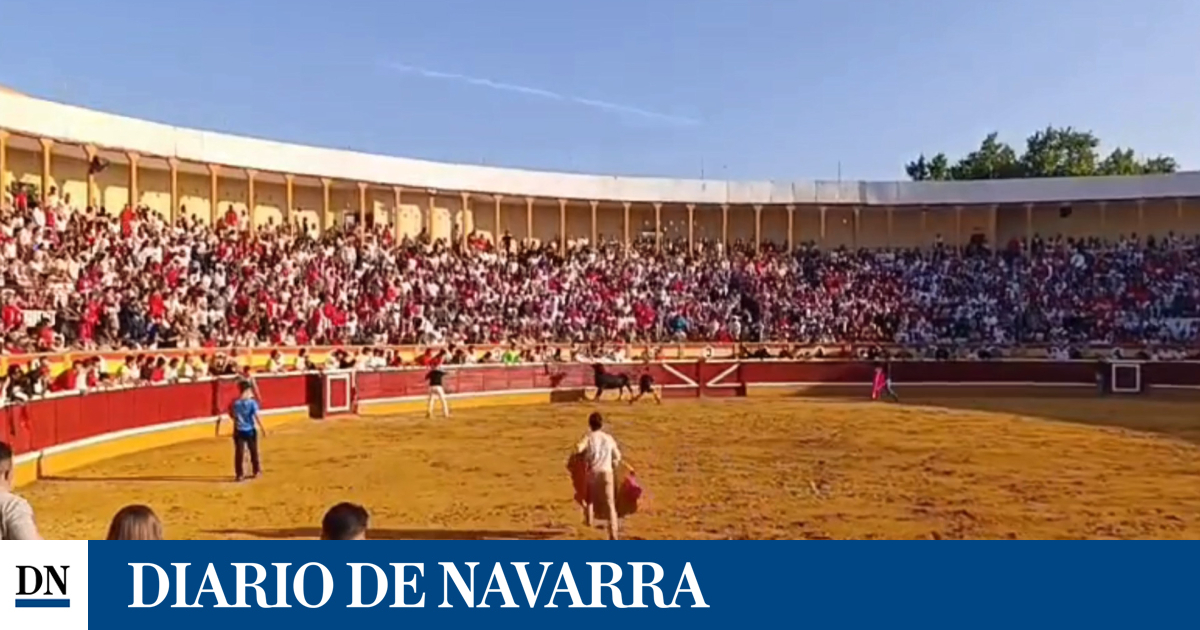 Vídeo: Una vaquilla embiste a un joven y lo lanza por los aires en las fiestas de Tudela