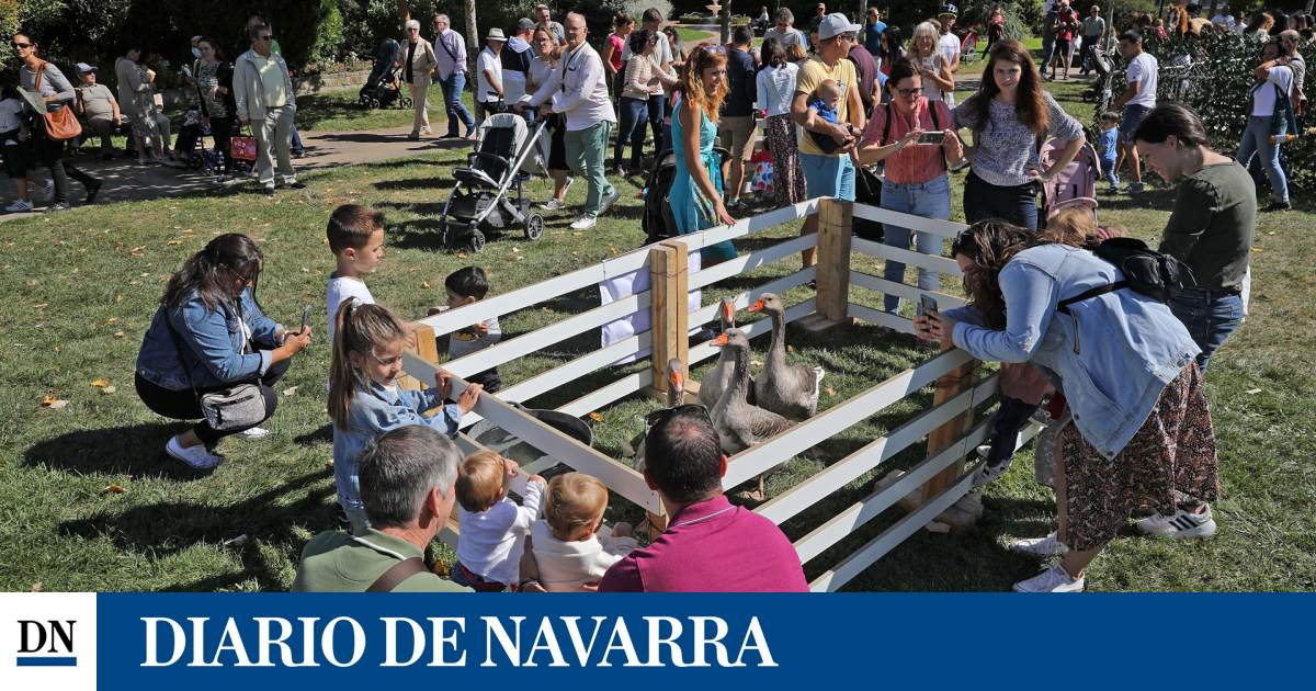 Citas para no perderse este finde en Pamplona y comarca