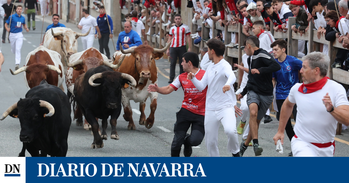 Dos toros adelantados protagonizan el primer encierro de las fiestas de Sangüesa