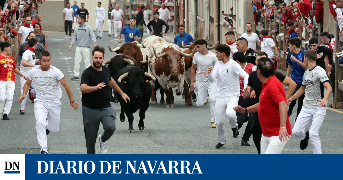 Fotos del primer encierro de fiestas de Sangüesa 2025