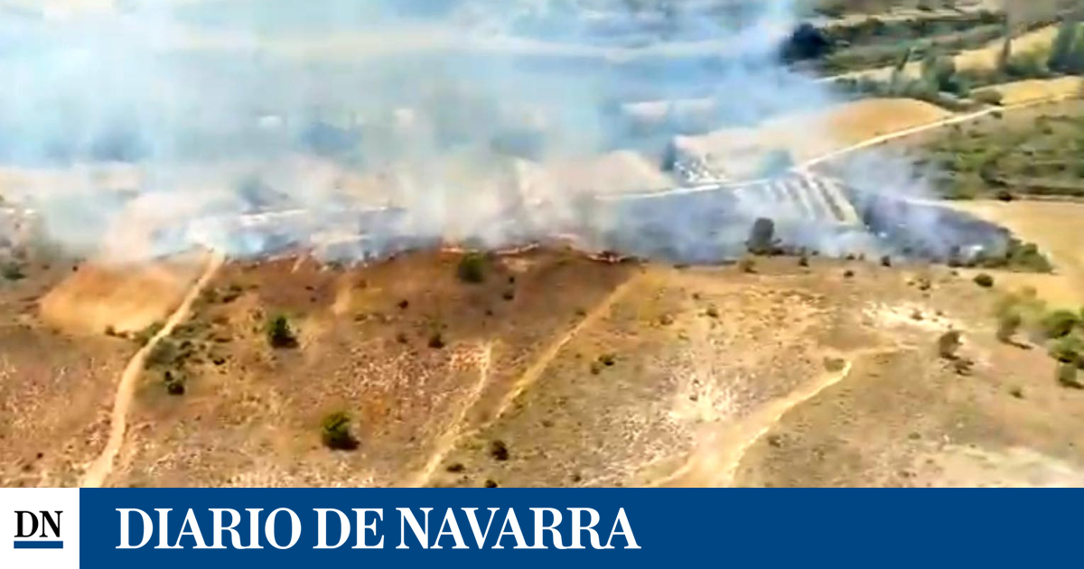 Un incendio de vegetación en Bargota afecta a una zona de rastrojo y olivar
