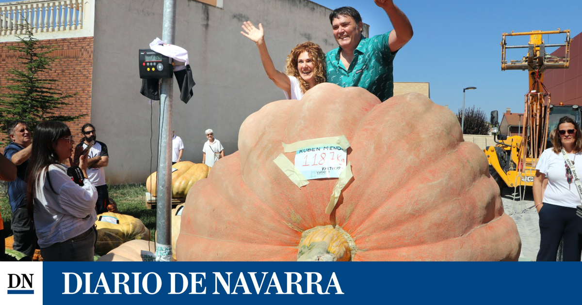 El valtierrano Rubén Mendi bate el récord de España de calabazas gigantes con 1.187 kilos
