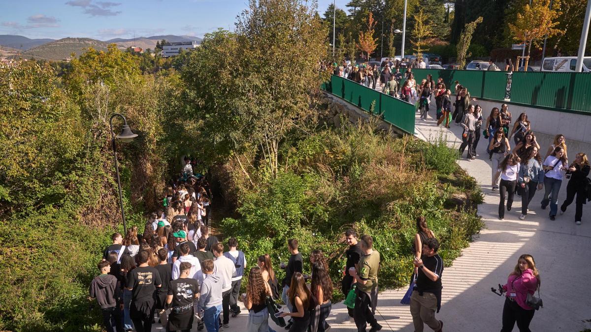 <![CDATA[El PSN pide incluir la Carpa en el protocolo de agresiones sexistas]]>