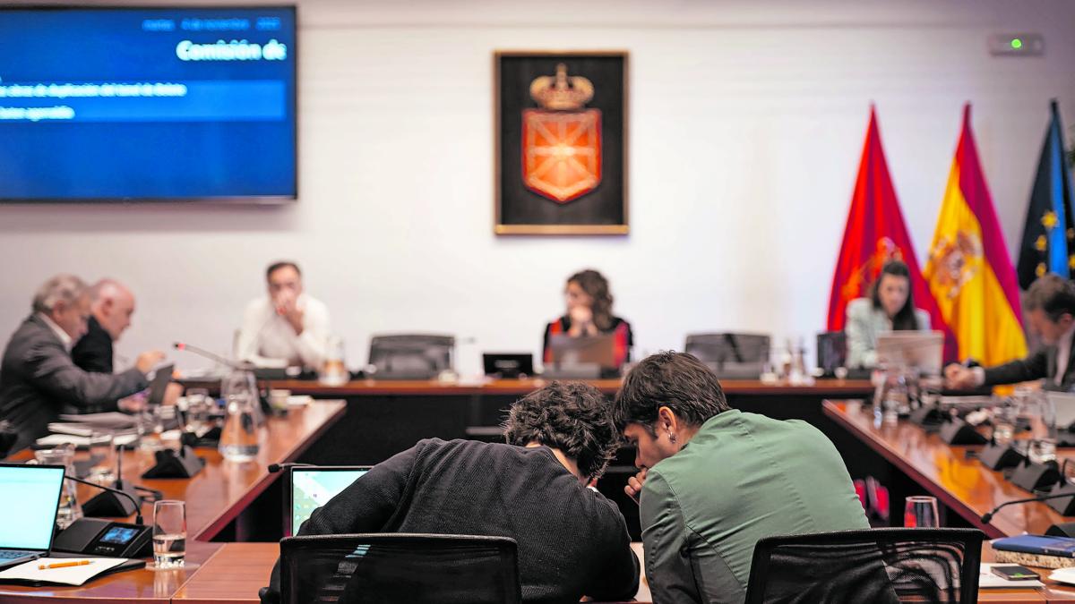 <![CDATA[Las comparecencias de la mesa de Belate dejan más indicios de un posible conflicto de interés]]>