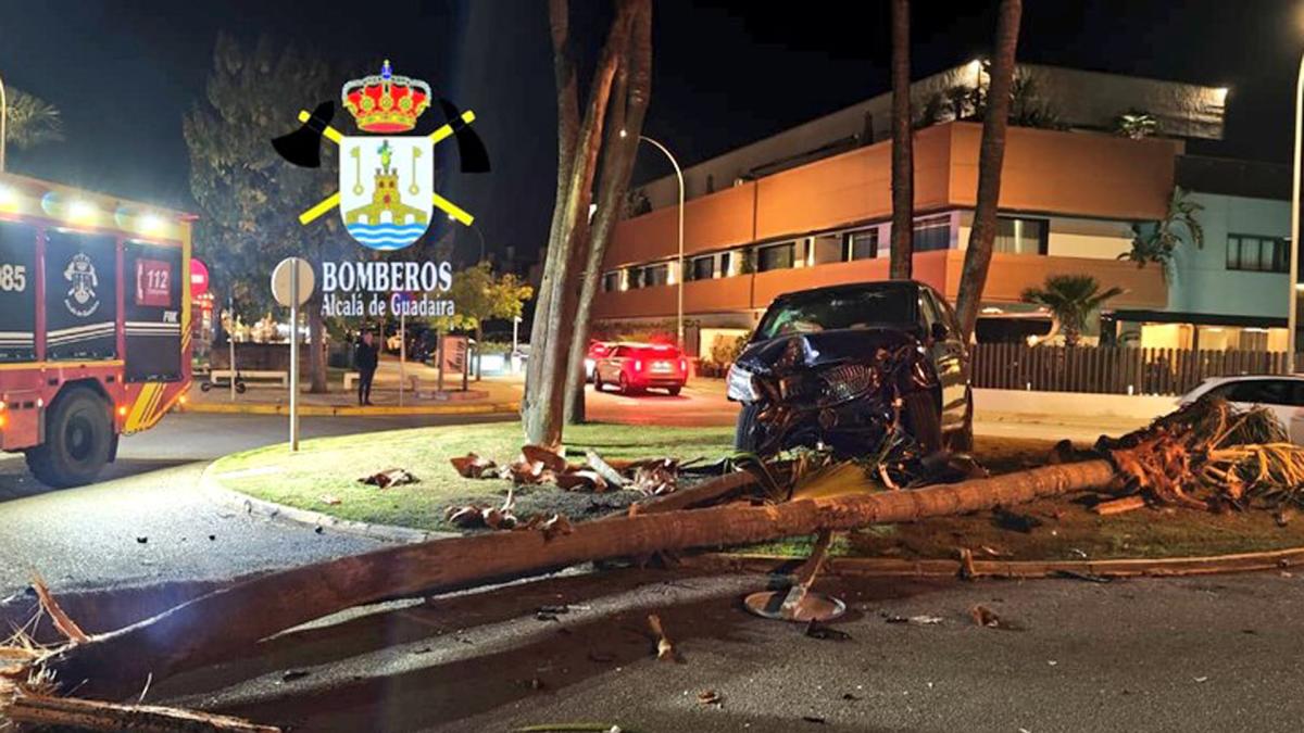 <![CDATA[Cayetano Rivera estrella su furgoneta contra una palmera]]>