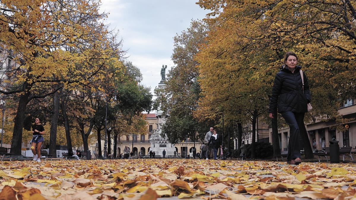 <![CDATA[Sarasate se lleva un tercio de las inversiones de 2026, 12,2 millones]]>