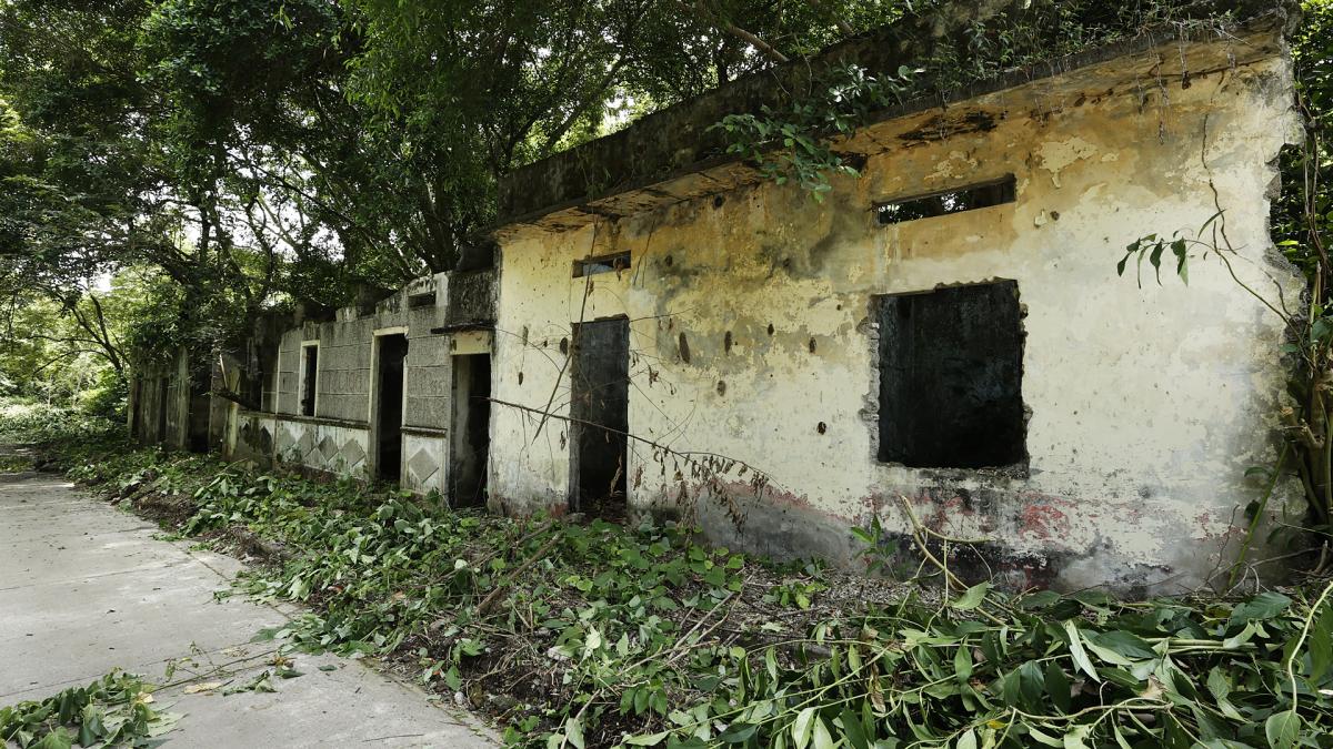 <![CDATA[Armero, el pueblo fantasma de Colombia víctima del volcán Nevado del Ruiz y que se resiste al olvido]]>