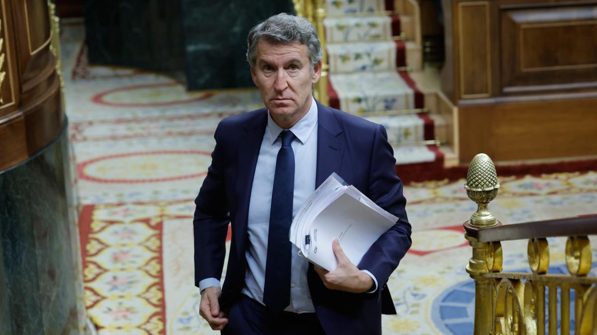 <![CDATA[Feijóo advierte a Sánchez de que no cuente con él para salvar su minoría]]>
