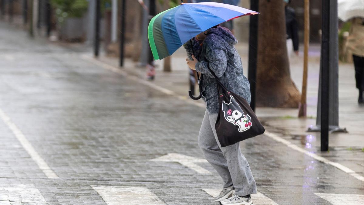 <![CDATA[Avisos amarillos en Navarra este fin de semana por nieve y viento]]>