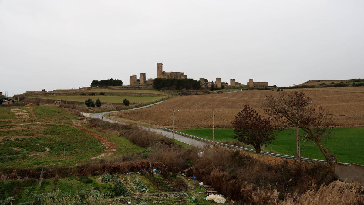 <![CDATA[800 alegaciones a los proyectos eólicos de Mendigorría y Artajona]]>