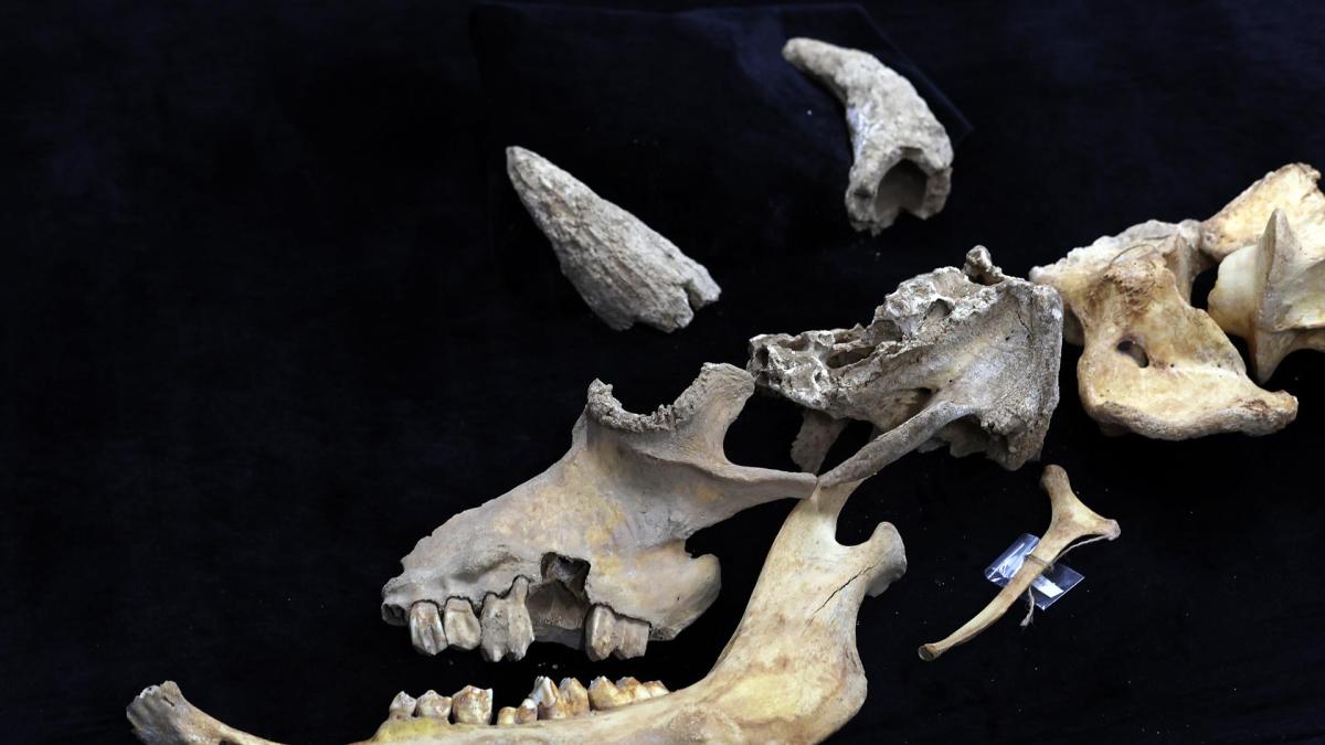 <![CDATA[Jesús García Gazólaz, arqueólogo del Gobierno de Navarra: "Es un hallazgo extraordinario e impensable"]]>