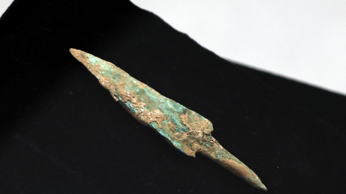 <![CDATA[¿Cómo murió el bisonte de Urbasa? La prueba del "delito" también se ha conservado]]>