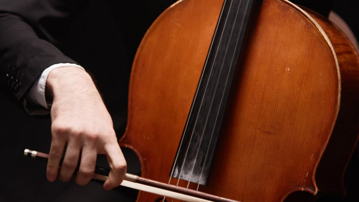 <![CDATA[La nueva edición de Pamplona Acción Musical propone seis conciertos y un musical familiar]]>