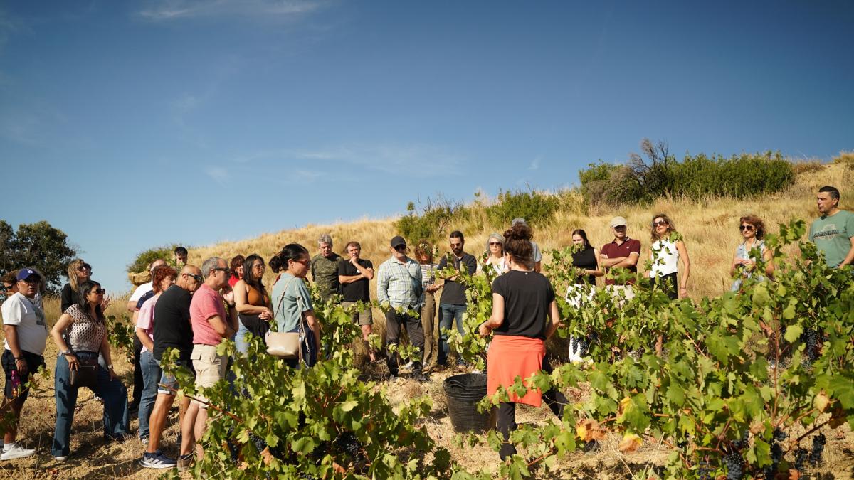 <![CDATA[Llega Navargira 2026: tres rutas culturales y enoturísticas para recorrer la Navarra Media]]>