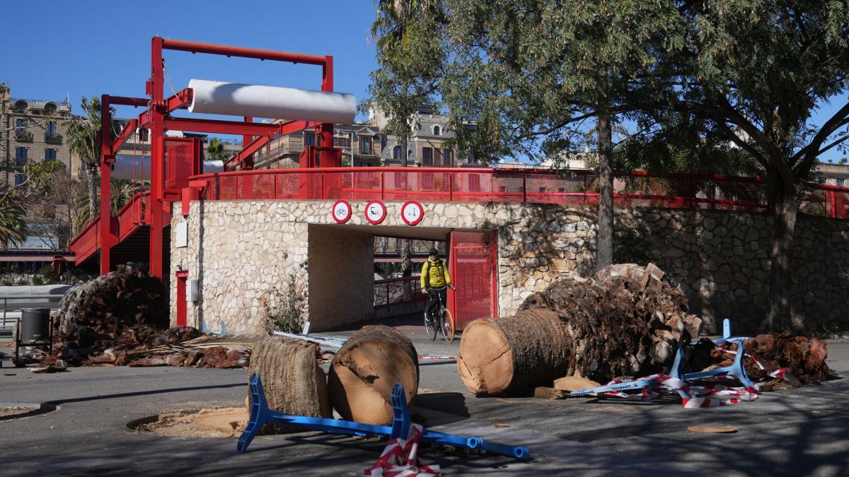 <![CDATA[Muere una mujer por la caída del techo de una nave industrial en Barcelona por el temporal]]>