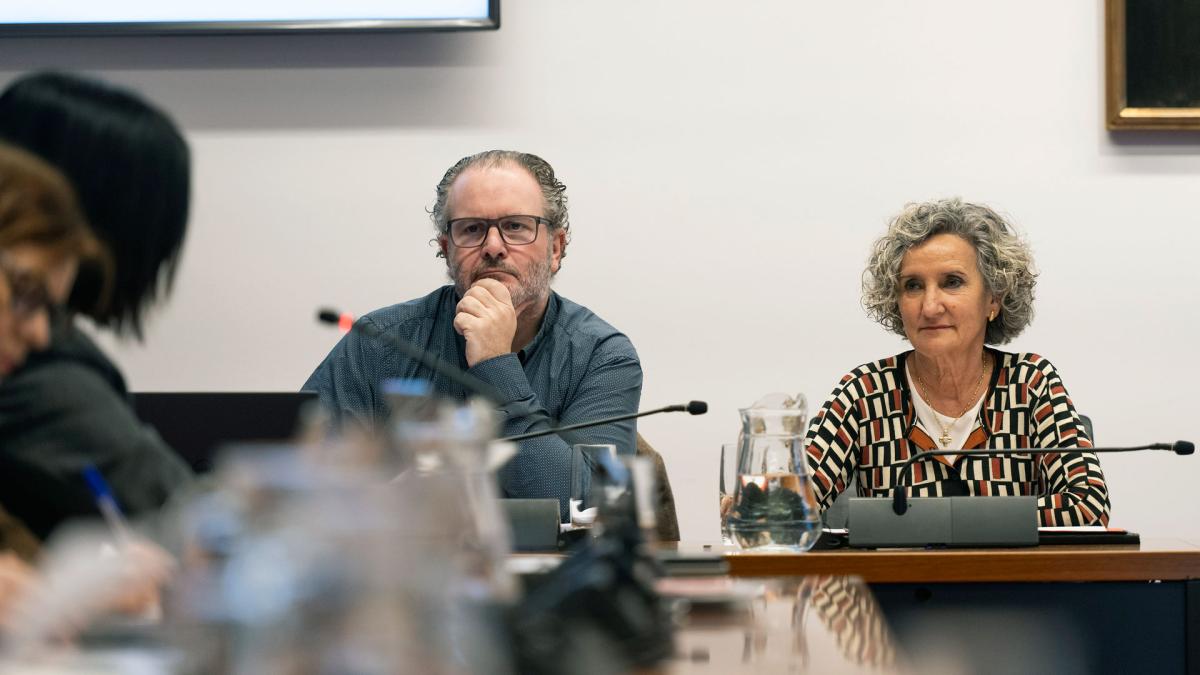 <![CDATA[La gerente de Atención Primaria del Servicio Navarr
