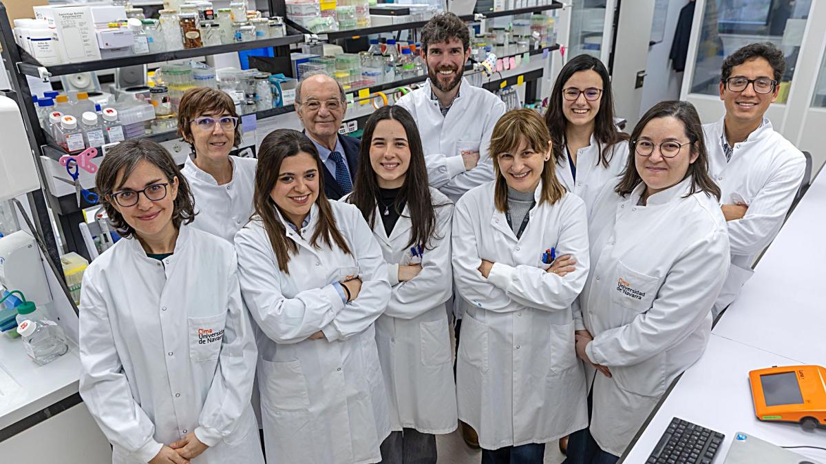 <![CDATA[Investigadores del Cancer Center Clínica Universidad de Navarra descubren que una combinación experimental de radioterapia y terapia génica es eficaz y segura para tratar diversos tipos de tumores]]>