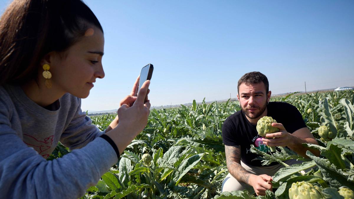 <![CDATA[La verdura ribera, 'influencer' internacional]]>