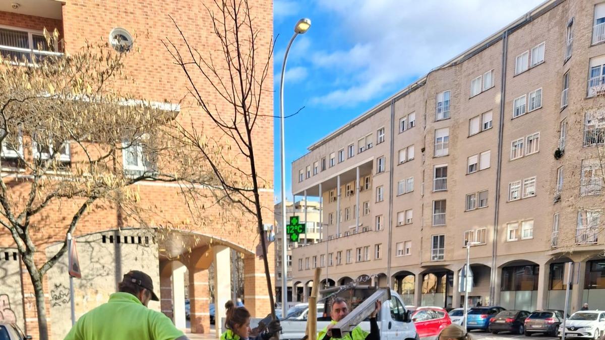 <![CDATA[Burlada crea un corredor verde con 16 árboles en la calle Ronda de las Ventas]]>