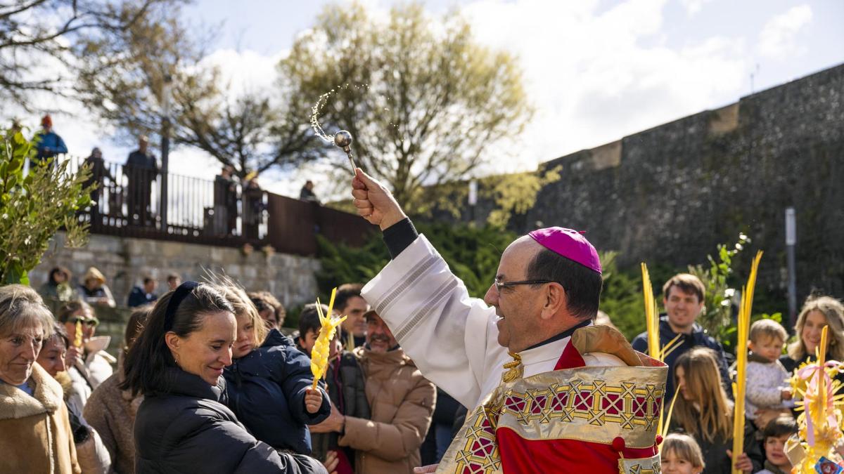 <![CDATA[Domingo de muchos ramos y tradición en Pamplona]]>