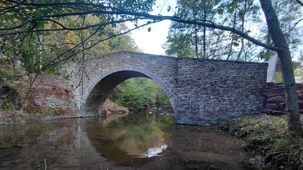 <![CDATA[El 'puente esqueleto' resucita en el valle de Arce]]>
