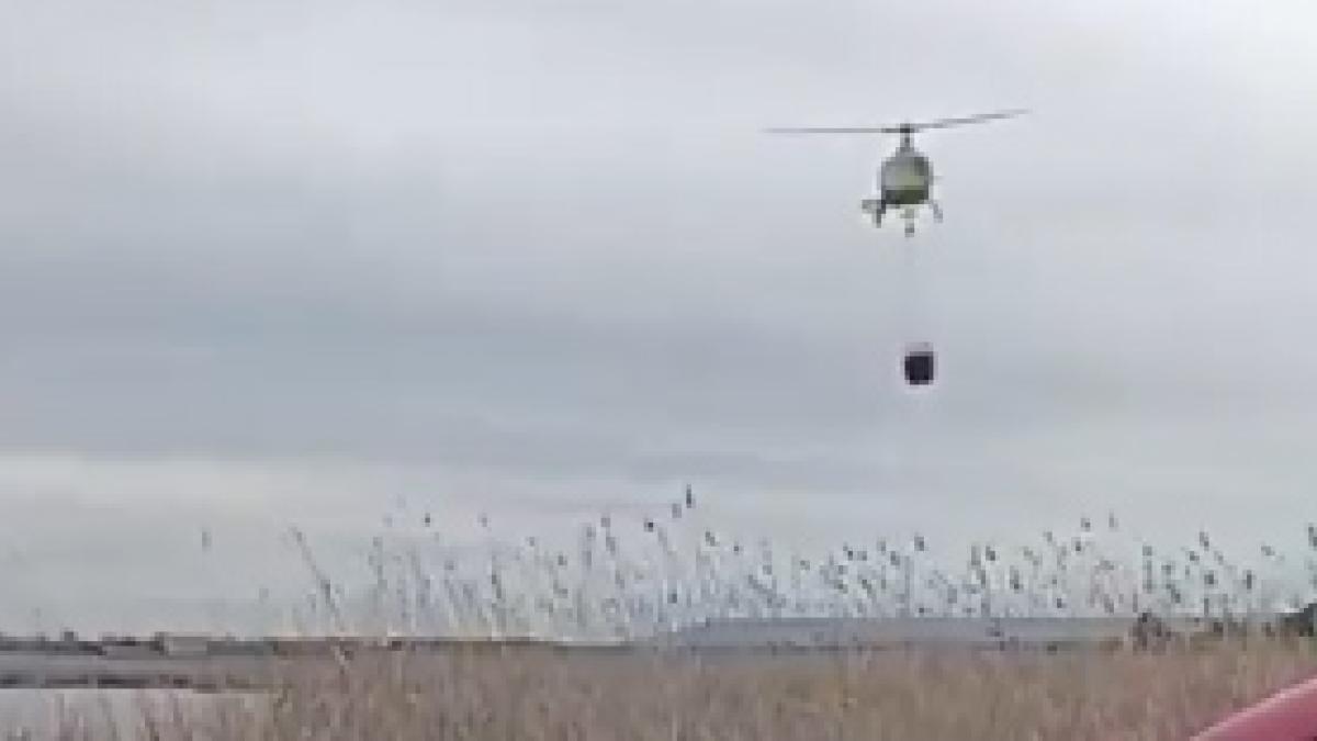 <![CDATA[Sofocado un incendio de vegetación en la balsa de Cardete, en Tudela]]>