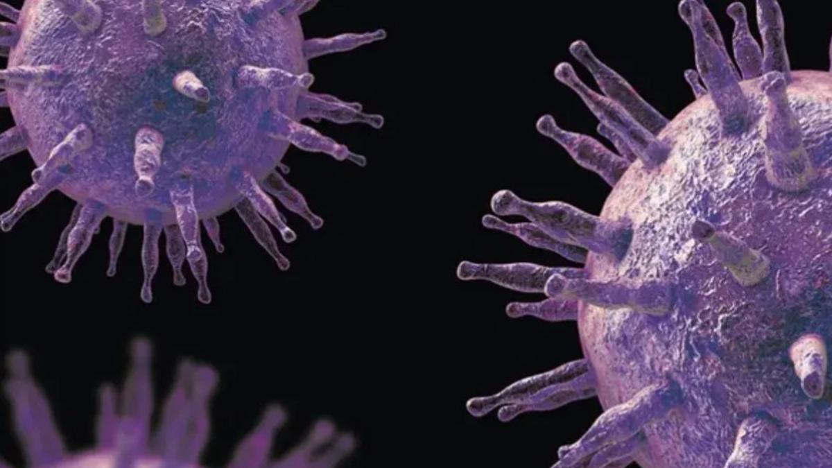 <![CDATA[El virus más común de la mononucleosis se relaciona con la esclerosis múltiple]]>