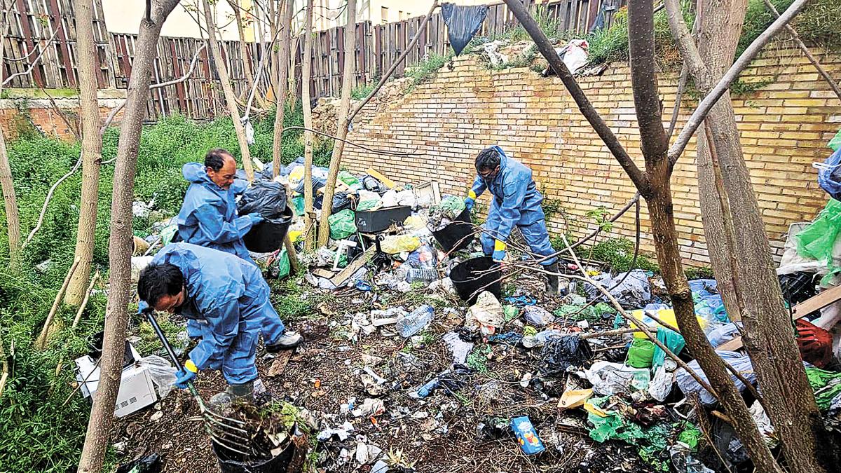 <![CDATA[30 contenedores para dejar limpio el solar]]>