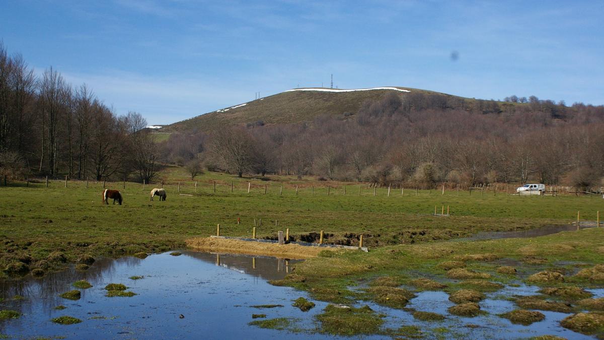 <![CDATA[Belate, donde historia y naturaleza se encuentran]]>