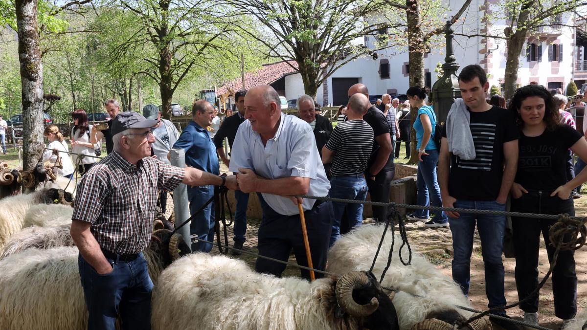 <![CDATA[Fotos de la feria de primavera en Elizondo, este viernes, 10 de abril de 2026]]>