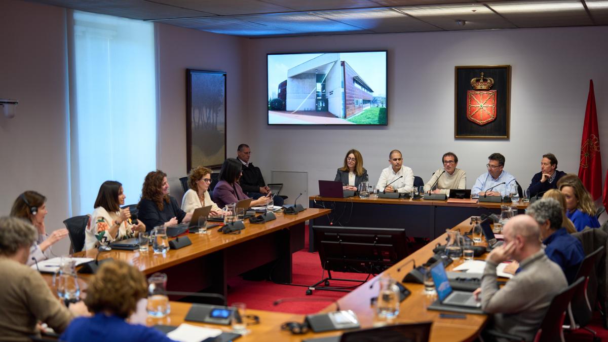 <![CDATA[Los partidos del Gobierno reconocen la sobrecarga médica de trabajo]]>