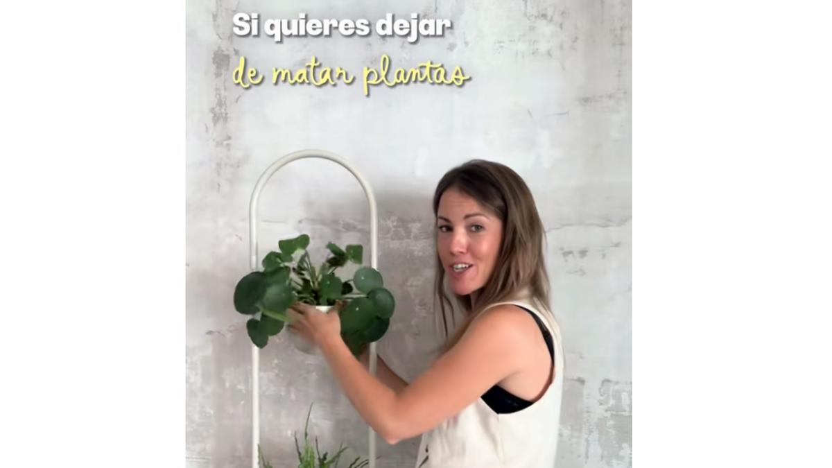 <![CDATA[El truco infalible para saber cuándo regar las plantas]]>