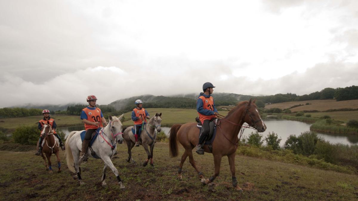 <![CDATA[El I Raid Hípico Plazaola por la Vía Verde]]>