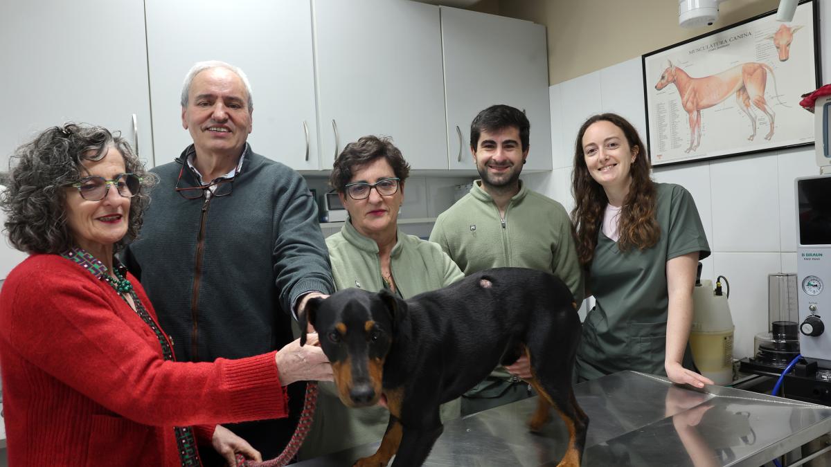 <![CDATA[Dos jóvenes de Lesaka toman el relevo en la veterinaria de Santesteban]]>