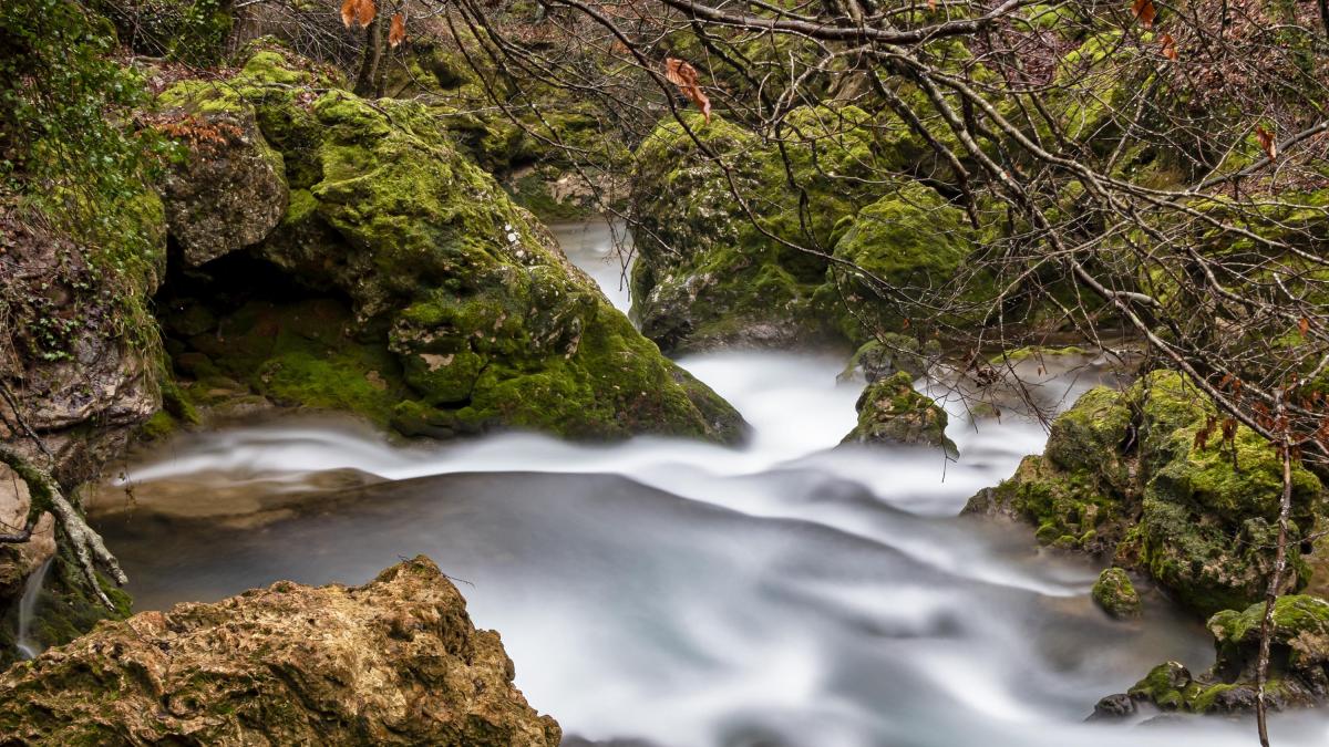 <![CDATA[El 58% de los navarros pagaría más impuestos para proteger el hábitat]]>