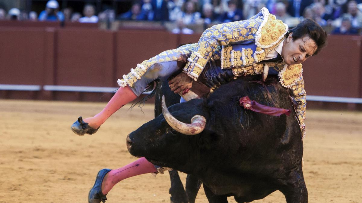 <![CDATA[Fotos de la cogida de Roca Rey en la Maestranza]]>