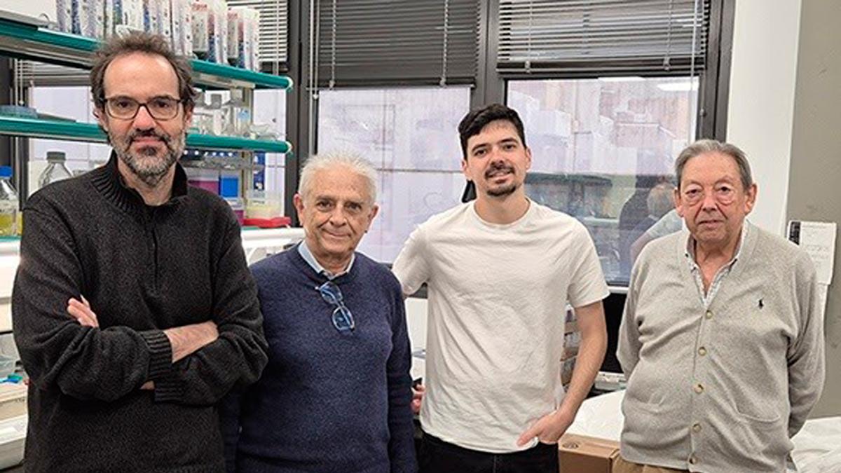 <![CDATA[Identifican una proteína 