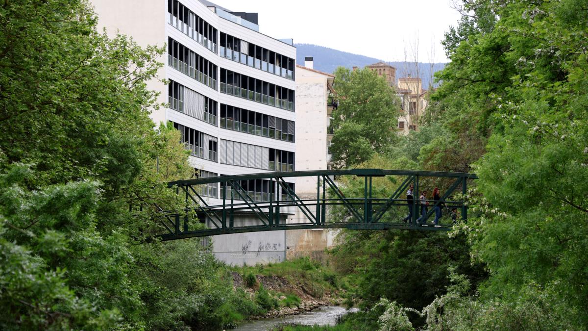 <![CDATA[Los técnicos avalan sustituir por una nueva la pasarela sobre el Ega cerrada en Estella]]>