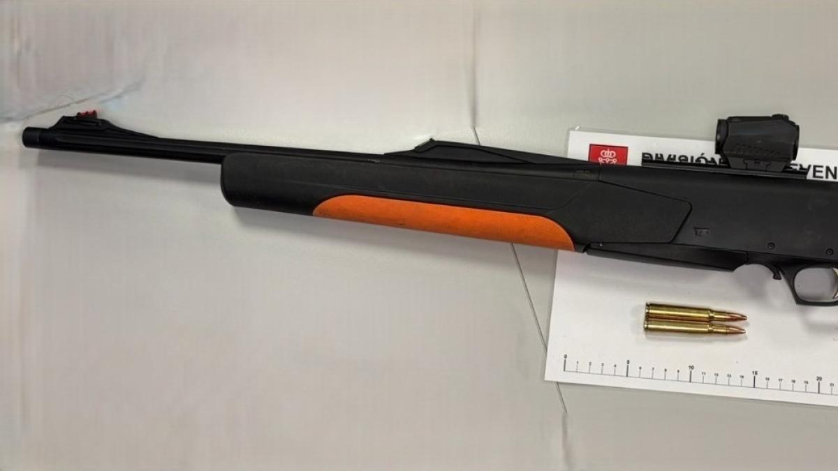 <![CDATA[La Policía Foral incauta un rifle preparado para caza furtiva en Alsasua]]>