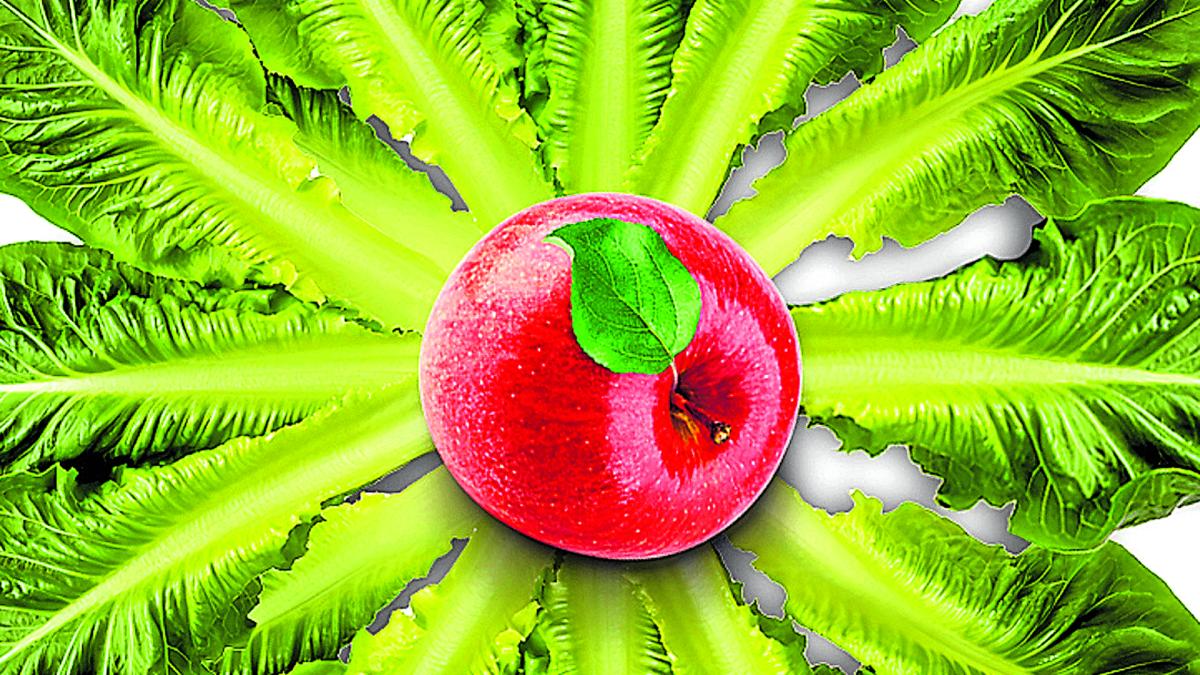 <![CDATA[Estas son las cinco dietas definitivas para vivir más]]>