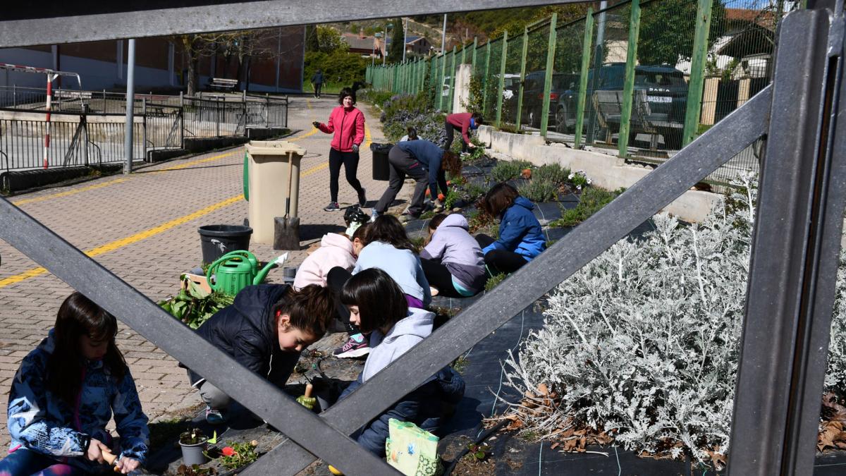<![CDATA[El colegio público de Tafalla avanza en la transformación del patio como espacio abierto]]>